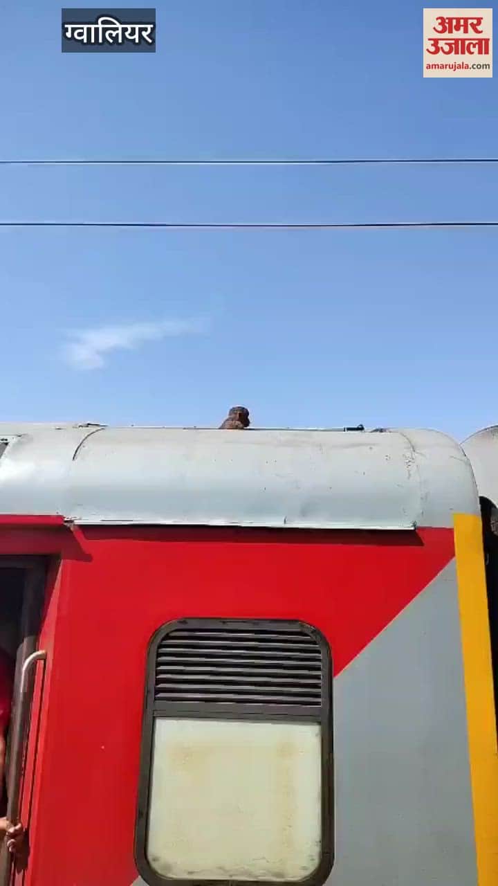 Monkey problem for railway passengers, reached from Agra to Gwalior sitting on roof of AC coach