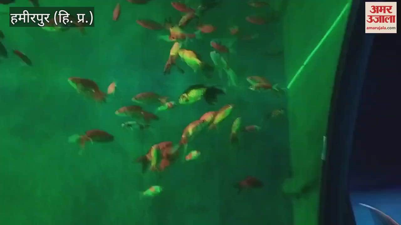VIDEO : Underwater fish tunnel becomes the center of attraction in Sujanpur Holi fair