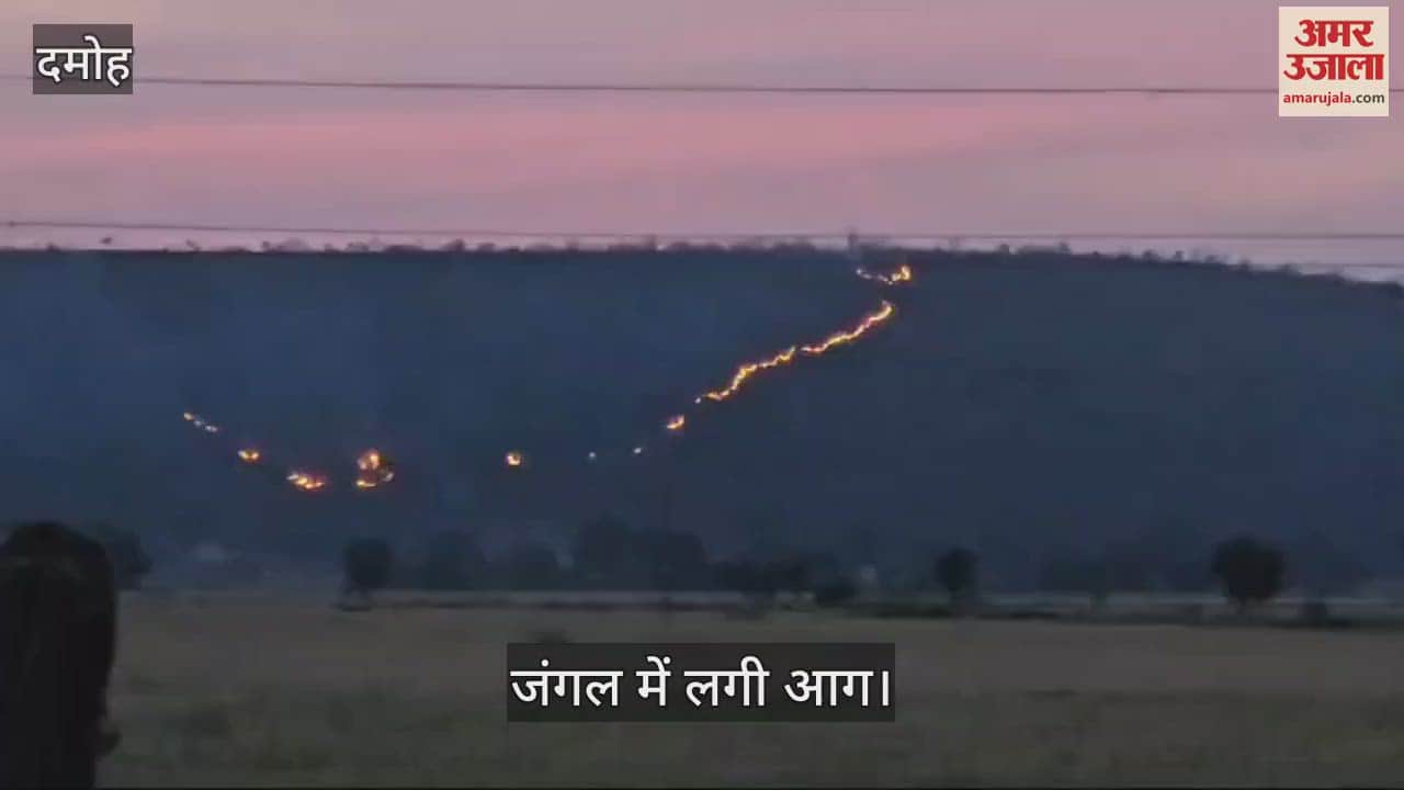 Damoh massive fire in forests of Parana Beat has become challenge for forest department