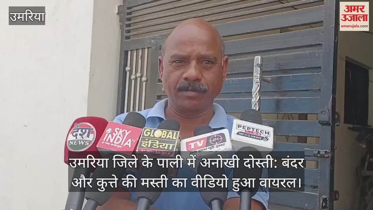 Umaria Dog and Monkey Video monkey and dog have great friendship they do not eat without each other