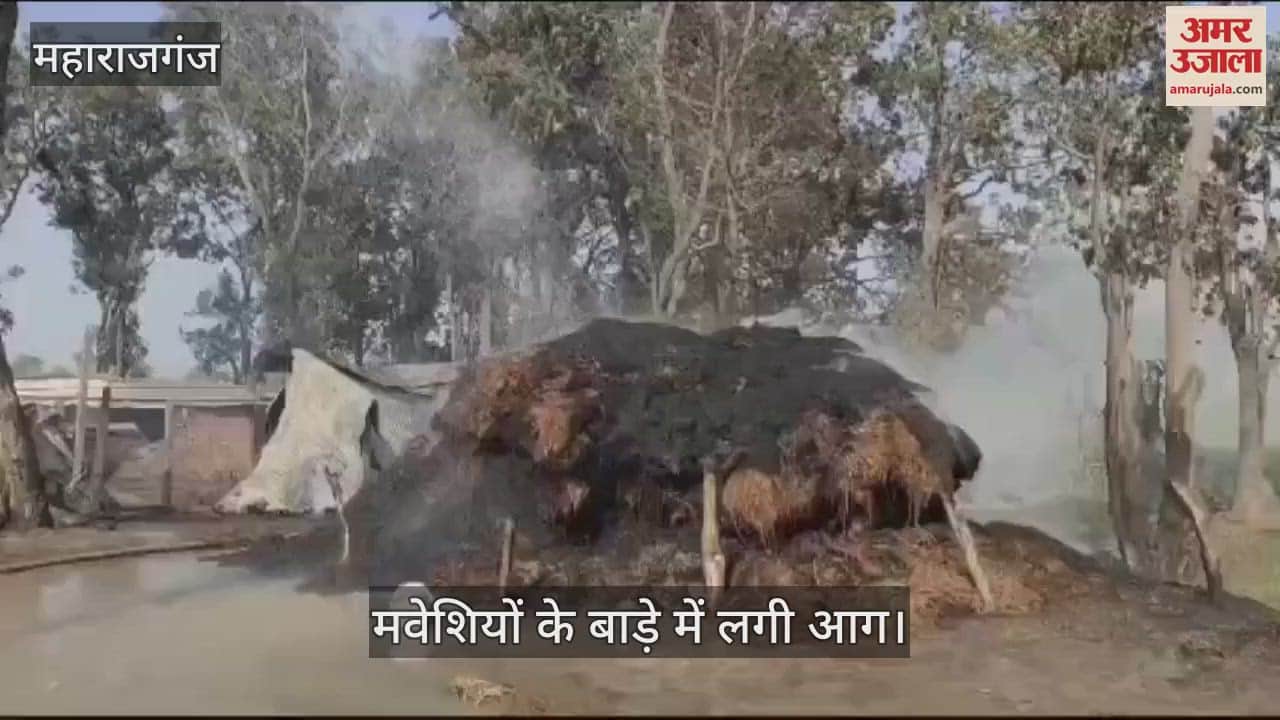 VIDEO : The cattle shed caught fire due to the high tension line