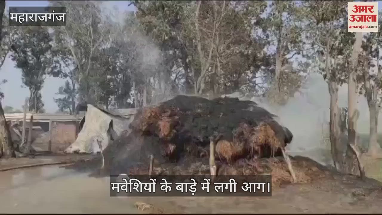 VIDEO : The cattle shed caught fire due to the high tension line