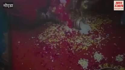 VIDEO : Seema Haider who reached home with her baby girl after becoming a mother