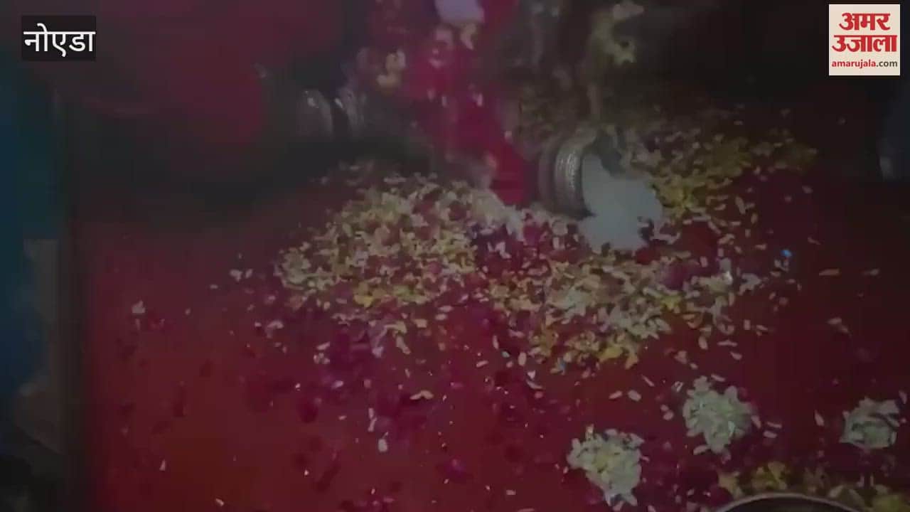 VIDEO : Seema Haider who reached home with her baby girl after becoming a mother