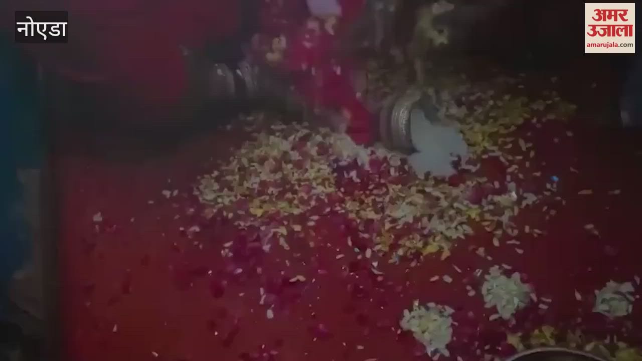 VIDEO : Seema Haider who reached home with her baby girl after becoming a mother