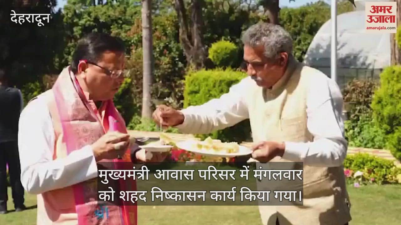 VIDEO : Honey was extracted from the Chief Minister's residence, CM Dhami also tasted it, watch the video
