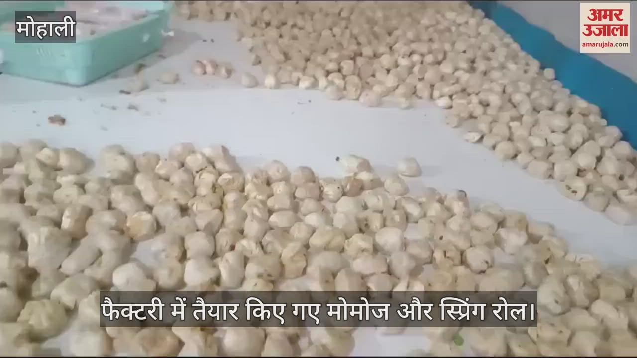 VIDEO : मोमोज की फैक्टरी में मिला कुत्ते का सिर