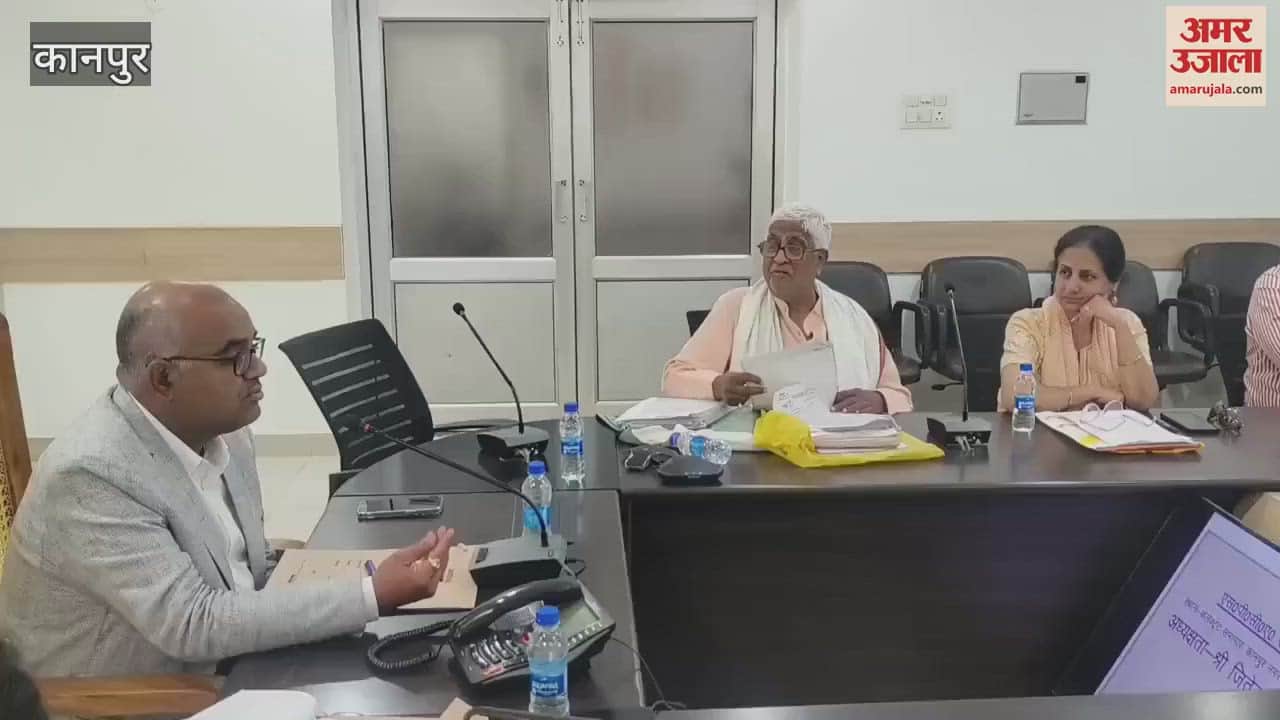 VIDEO : District Magistrate said- protect the injured mute animals