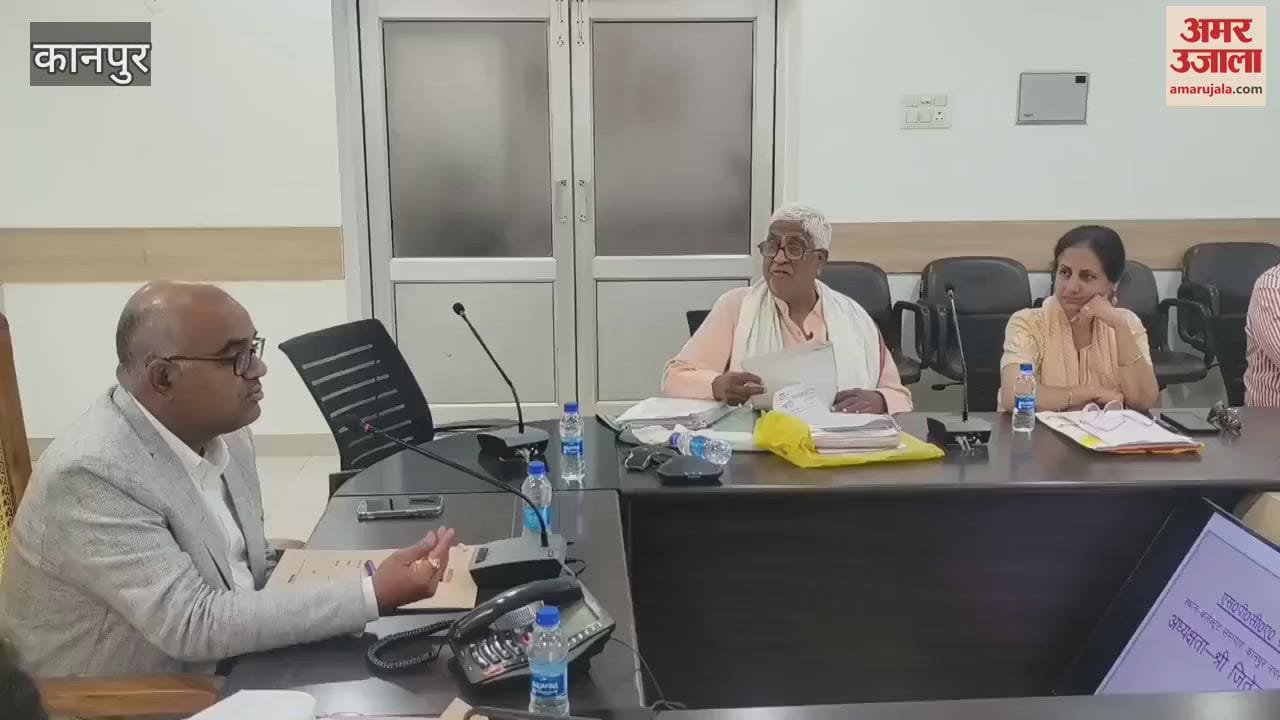 VIDEO : District Magistrate said- protect the injured mute animals