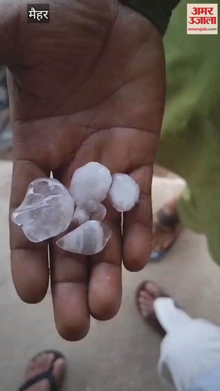 Sky-borne calamity fell on farmers, hailstorm in Amdara and Ramnagar area increased concern