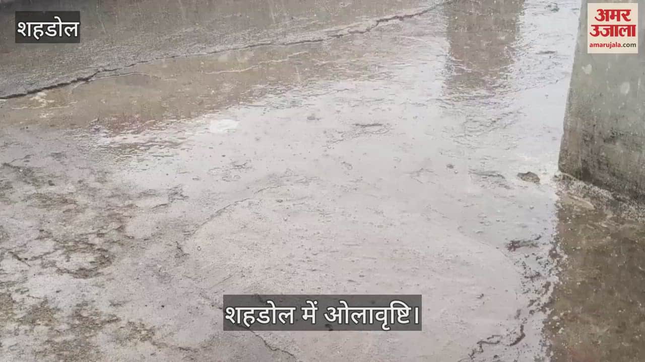 Suddenly the weather changed, hailstorm occurred along with rain in the afternoon, these crops were damaged