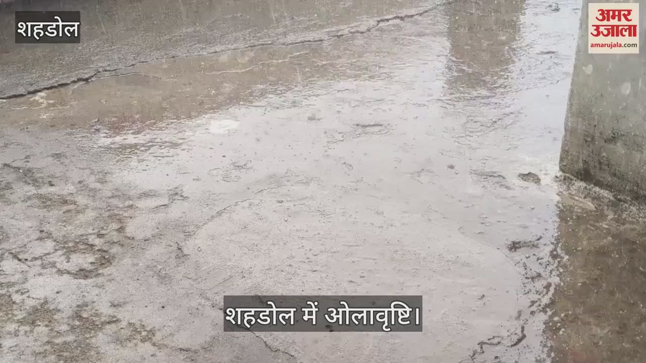 Suddenly the weather changed, hailstorm occurred along with rain in the afternoon, these crops were damaged