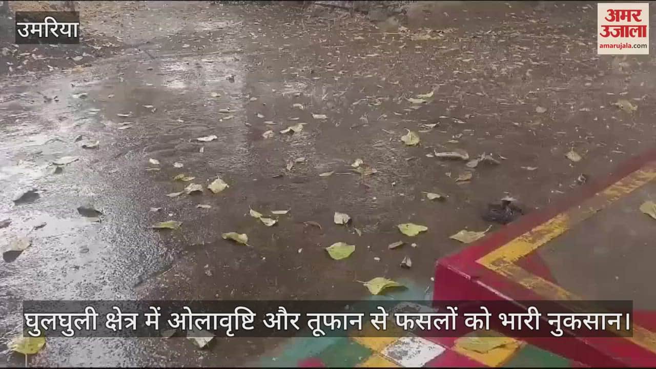 Heavy damage to crops due to hailstorm and storm in Ghulghuli area