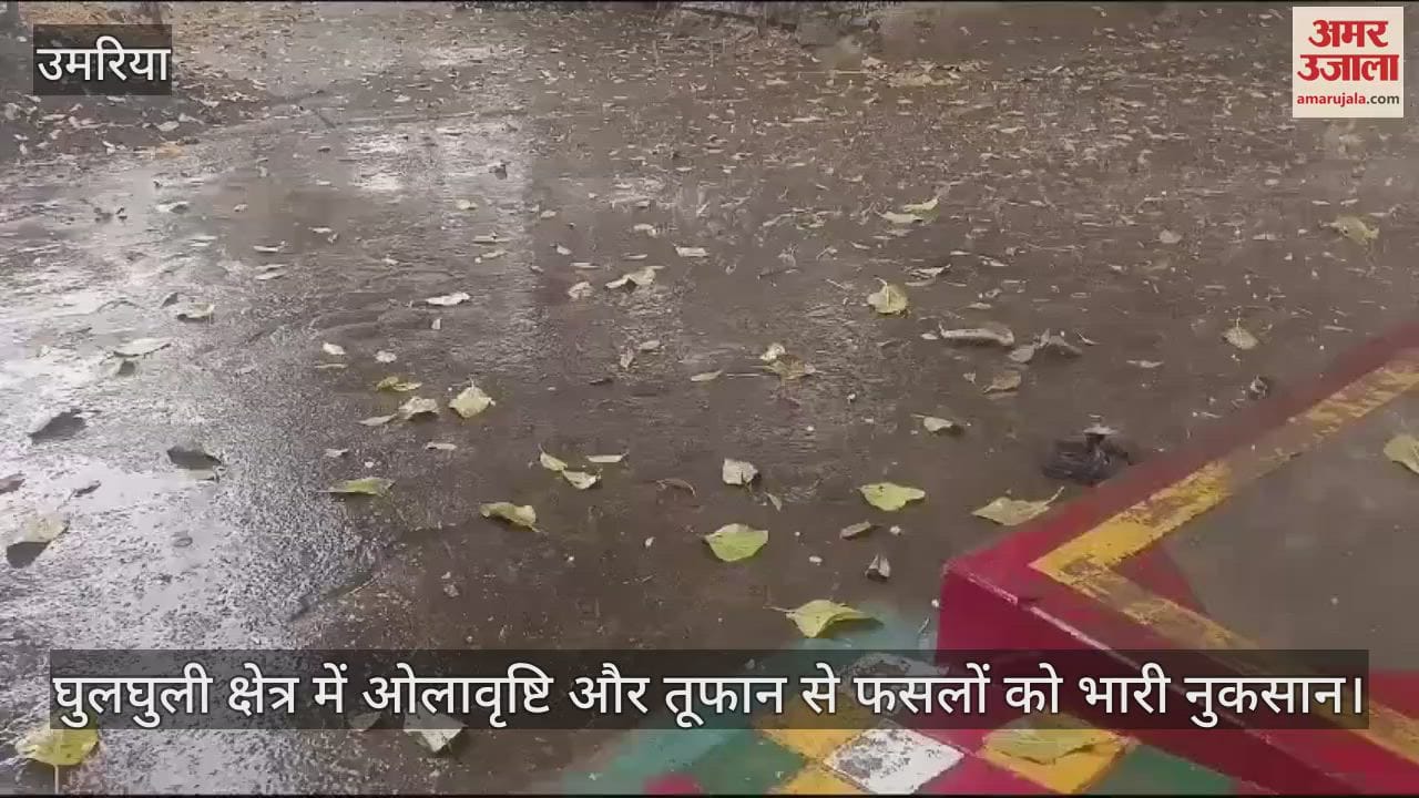 Heavy damage to crops due to hailstorm and storm in Ghulghuli area