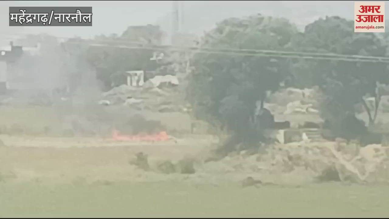 VIDEO : Fire broke out in mustard barn in Narnaul, four acres of crop burnt to ashes