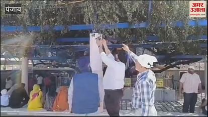 VIDEO : hard work of PAU scientists paid off historic Gurdwara Shri Ber Sahib berry became full of plums