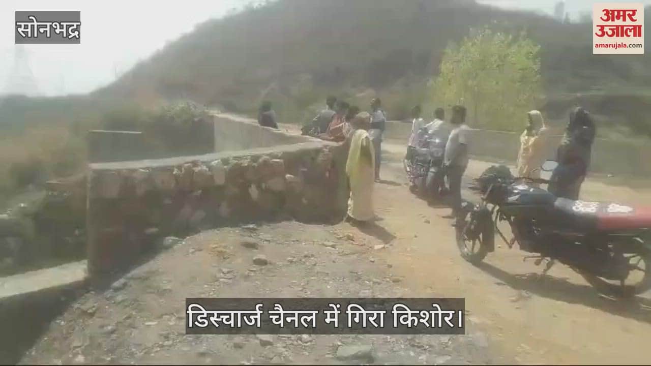 VIDEO : teenager fell into discharge channel during getting photo clicked by climbing on railing