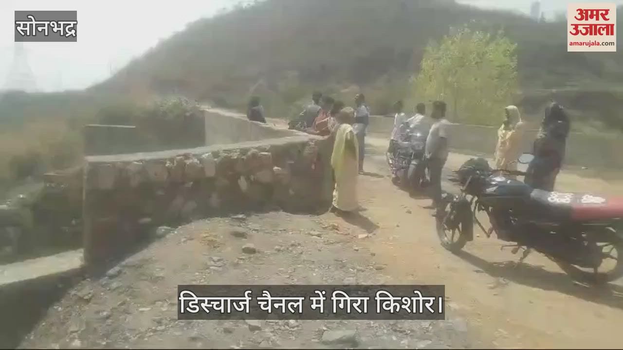 VIDEO : teenager fell into discharge channel during getting photo clicked by climbing on railing