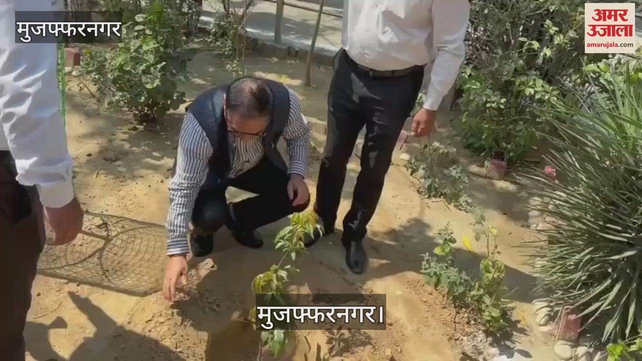 VIDEO : Divisional Commissioner inspected Muzaffarnagar and also planted saplings