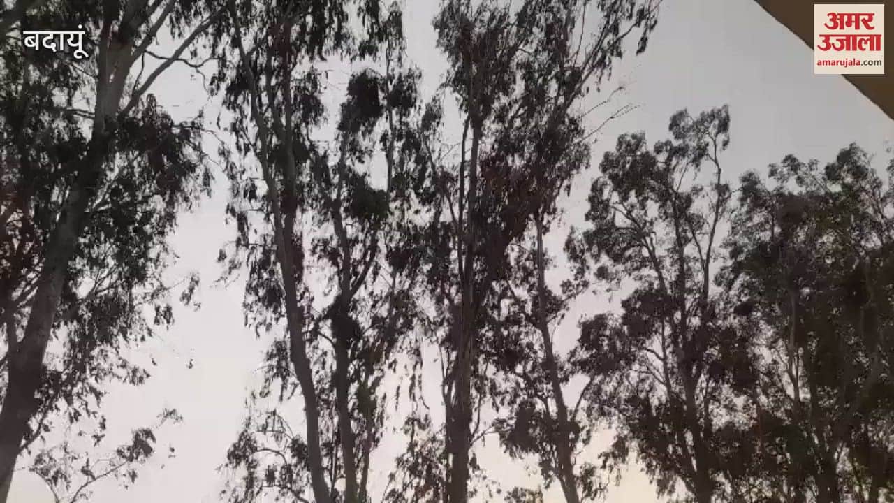 VIDEO : Weather changed in Budaun drizzle along with dust storm