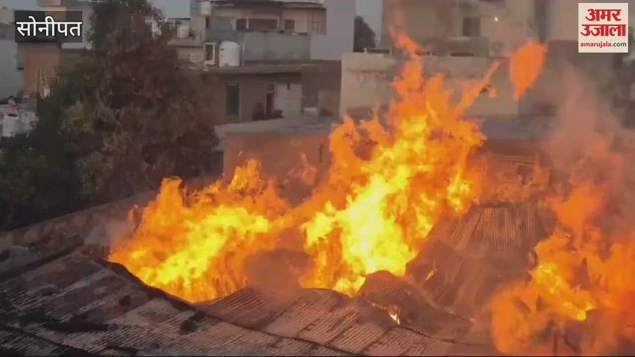 VIDEO : Huge fire in a saw mill in Gohana, Sonipat, loss worth lakhs