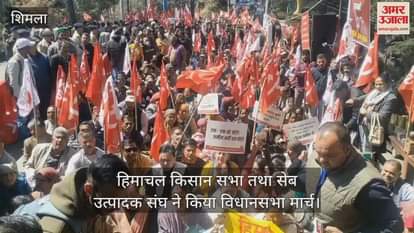 VIDEO : Himachal Kisan Sabha and Apple Producers Association marched to the Assembly
