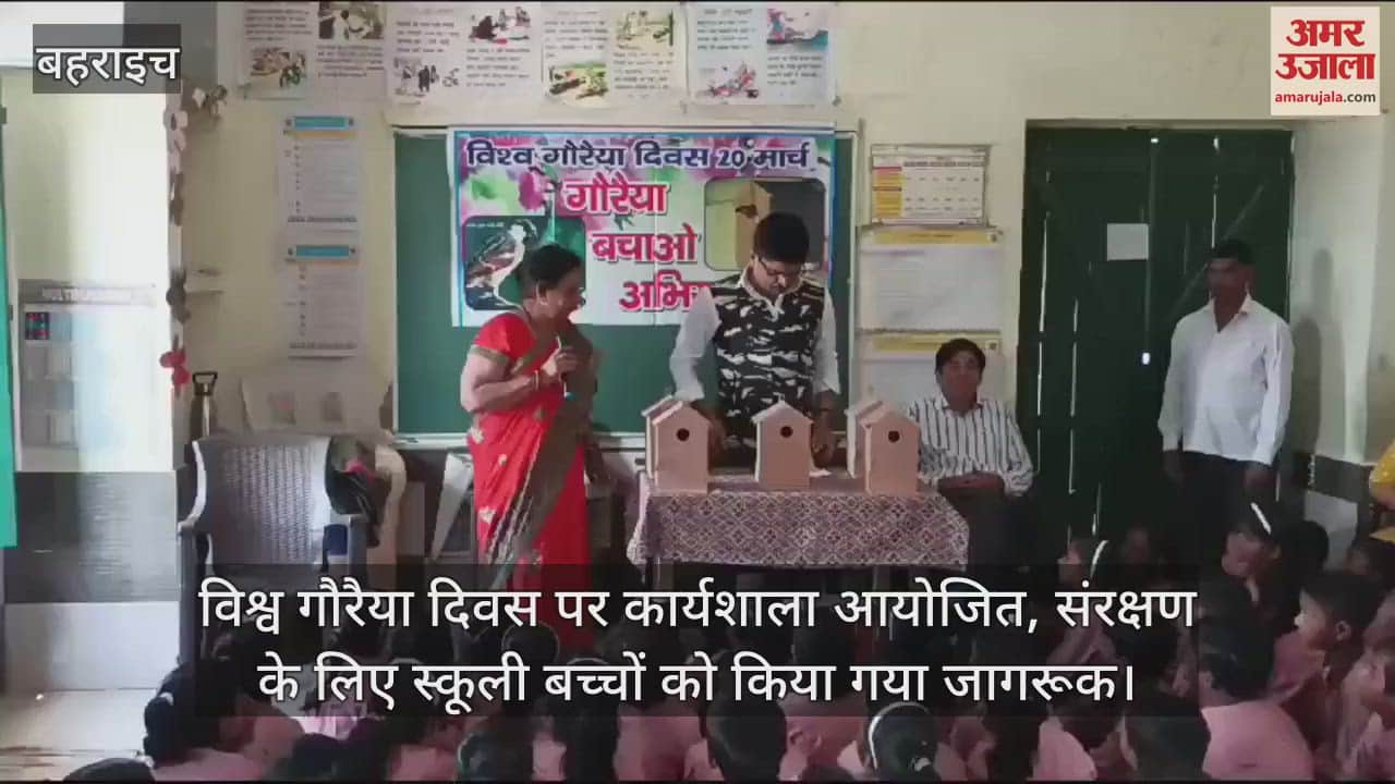 VIDEO : विश्व गौरैया दिवस पर कार्यशाला आयोजित, संरक्षण के लिए स्कूली बच्चों को किया गया जागरूक