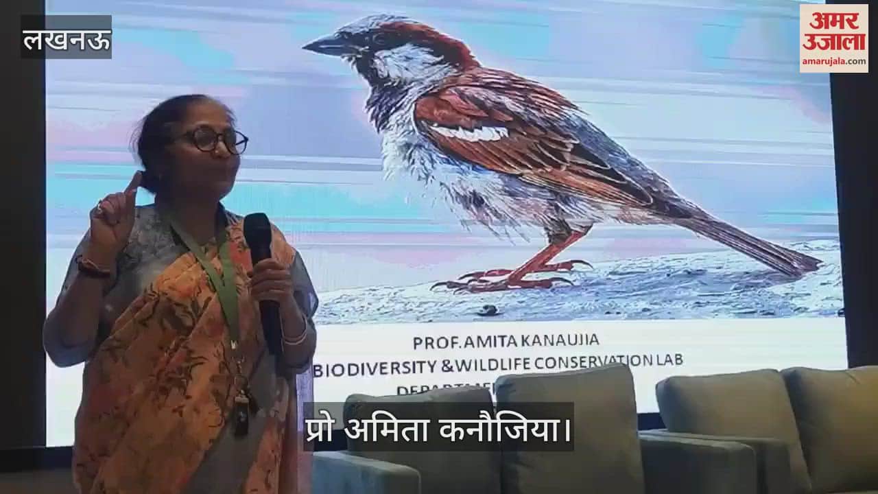 VIDEO : Lucknow: गौरैया दिवस पर जू में आयोजित गोष्ठी, प्रोफेसर ने दी जानकारी