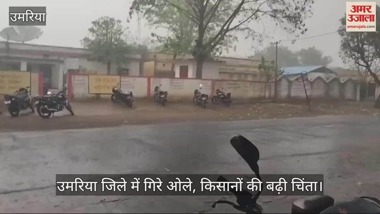 Umaria Weather News Weather changed with thunder of clouds hailstorm increased farmers concern Video