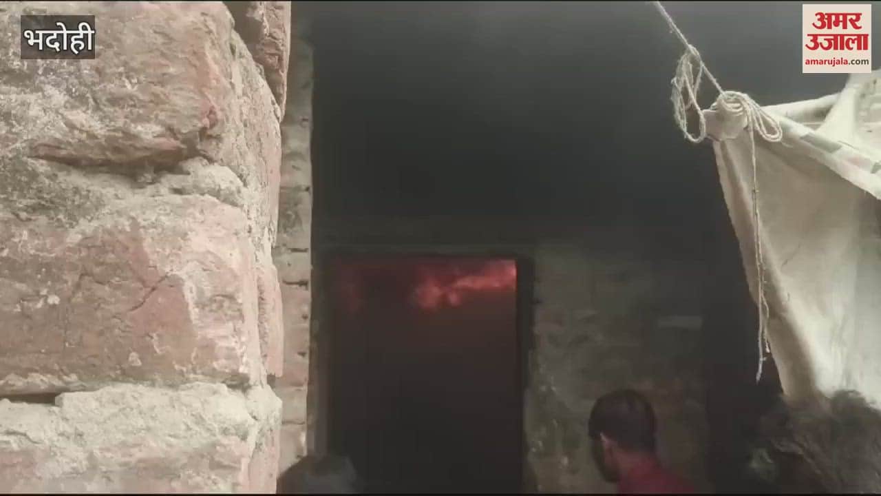 VIDEO : Goods worth lakhs burnt ashes in fire mischievous elements blamed