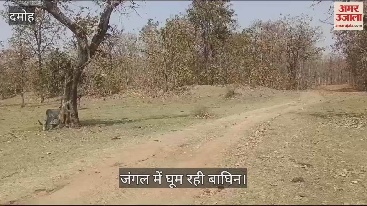 Security was increased after seeing the movement of the tigress