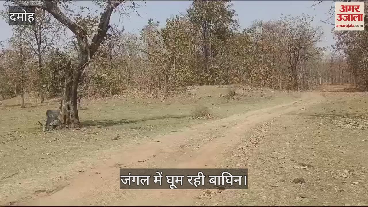 Security was increased after seeing the movement of the tigress