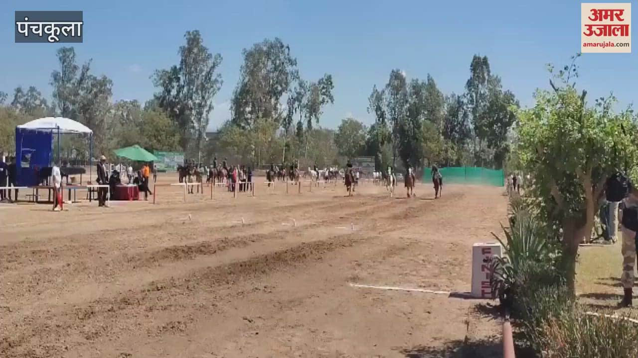 VIDEO : Horse riding competition at Panchkula Bhanu ITBP