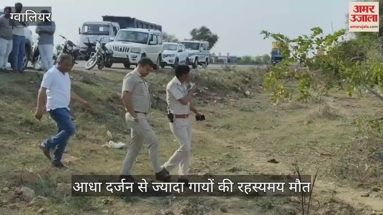 Mysterious death of more than half a dozen cows 20 cows fainted after drinking water from the workshop