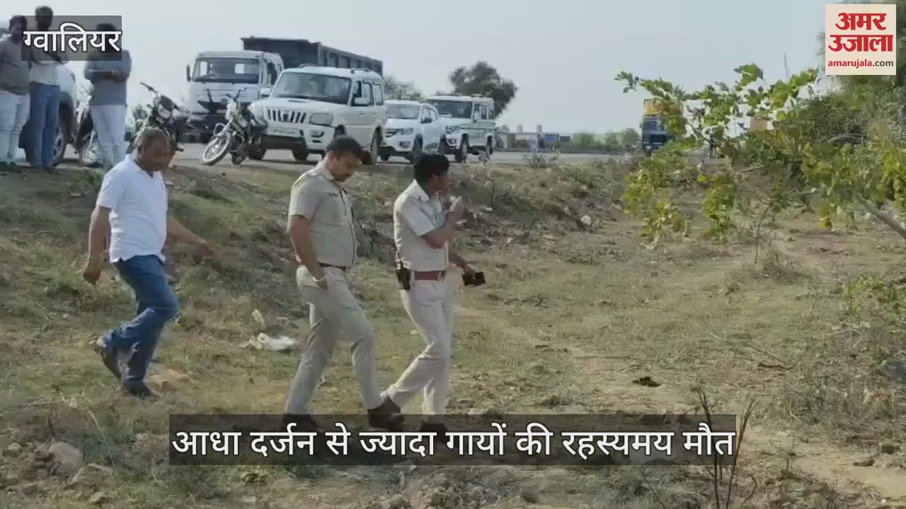 Mysterious death of more than half a dozen cows 20 cows fainted after drinking water from the workshop