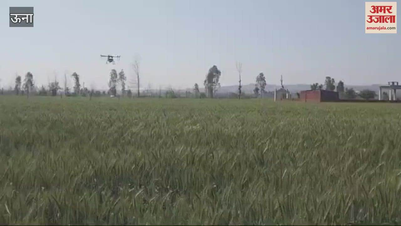 VIDEO : The spraying drone proved to be a boon for the farmers of Baduhi area