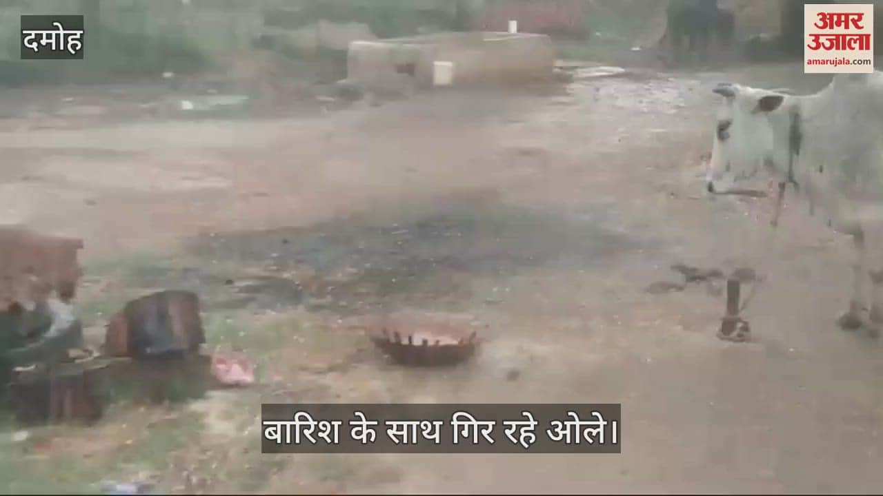 Damoh News: Hail falling with rain, possibility of damage to crops in Batiagarh and Patharia area