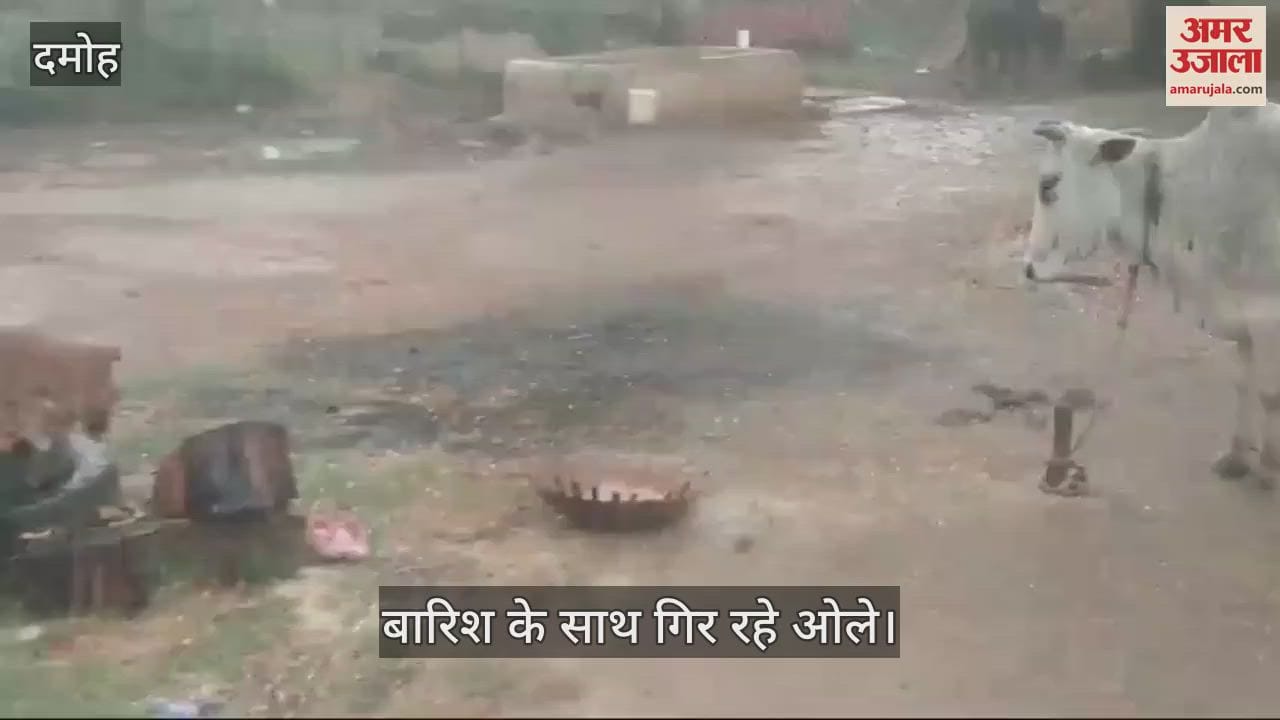 Damoh News: Hail falling with rain, possibility of damage to crops in Batiagarh and Patharia area