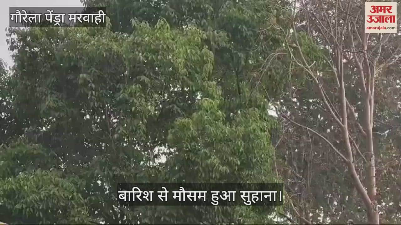 VIDEO : Weather took a turn in Gaurela Pendra Marwahi light rain made the weather pleasant