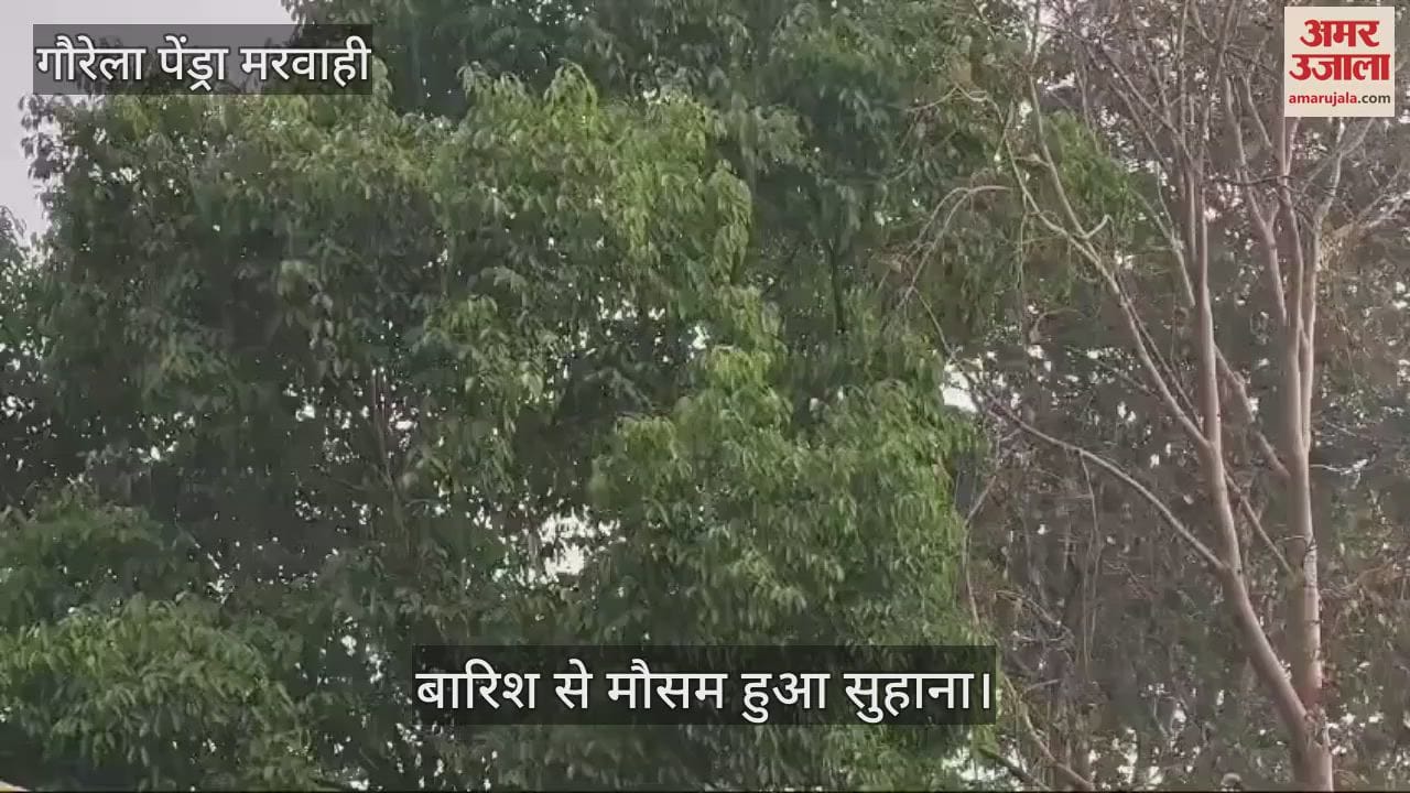 VIDEO : Weather took a turn in Gaurela Pendra Marwahi light rain made the weather pleasant