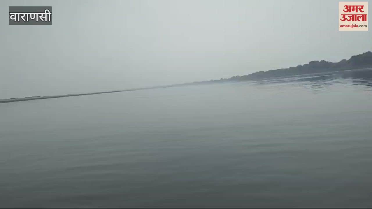 VIDEO : Forest department inaugurated dolphin safari on world water day