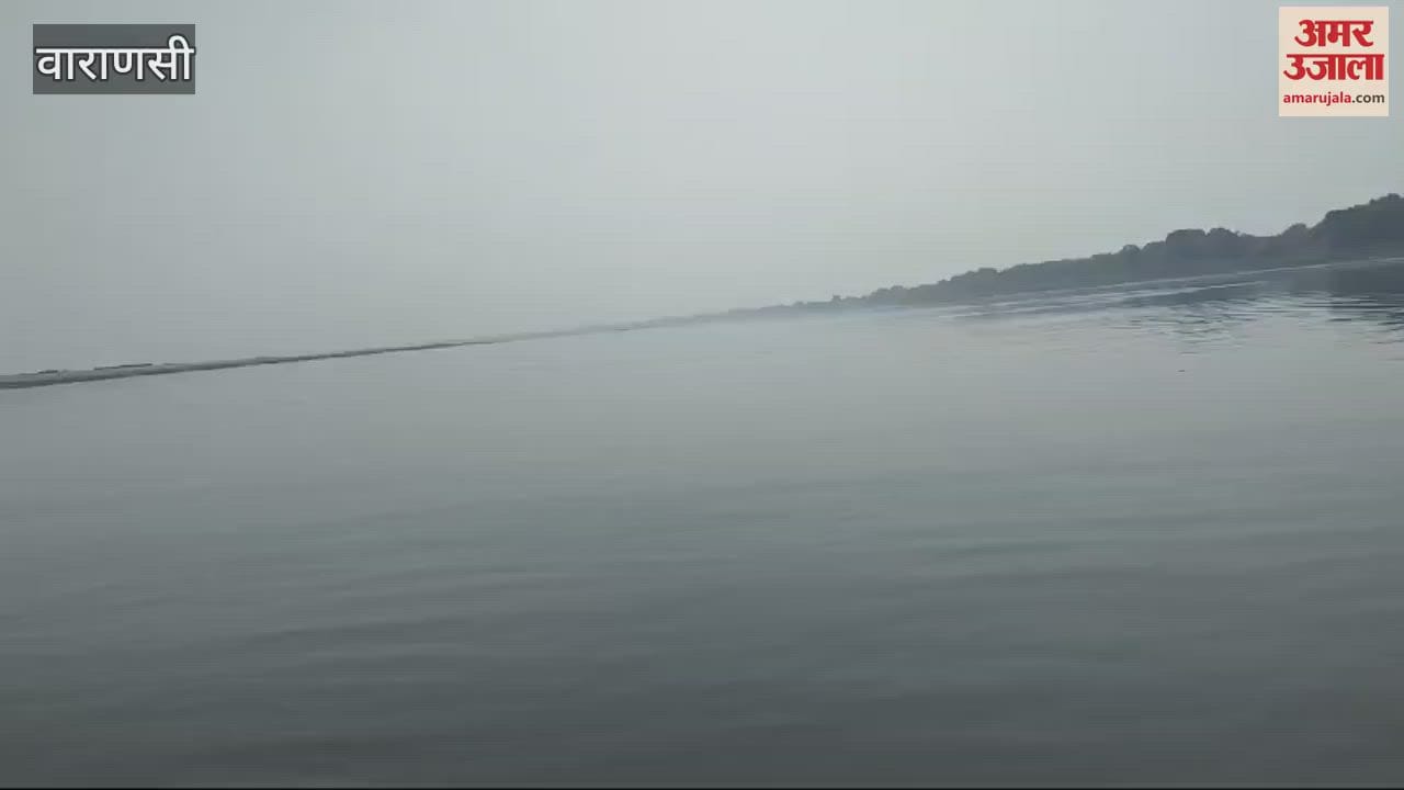 VIDEO : Forest department inaugurated dolphin safari on world water day