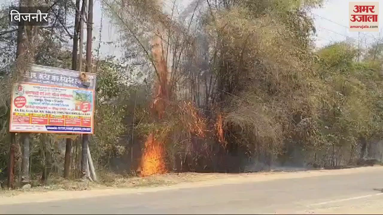 VIDEO : Bijnor: Fire in the garden