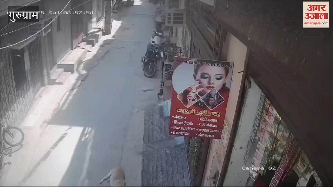 VIDEO : Video footage of a car crushing a dog sleeping on the street goes viral