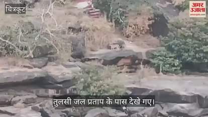 VIDEO : Leopard arrived with cub, tourist movement banned