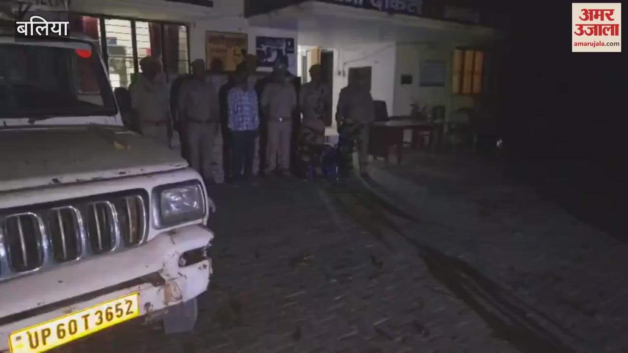 VIDEO : 200 boxes of illegal English liquor worth 10 lakhs recovered from pickup