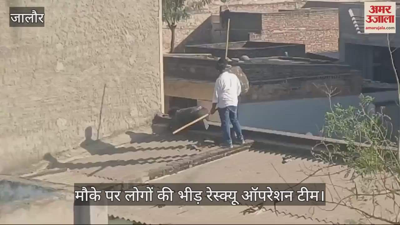 Jalore News: Leopard terror in Kotada, attacked on two villagers in 20 minutes, rescue happened in 9 hours