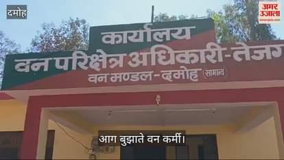 Damoh News: As soon as the tigress left Tejgarh, a terrible fire broke out in the forests of Kalamli