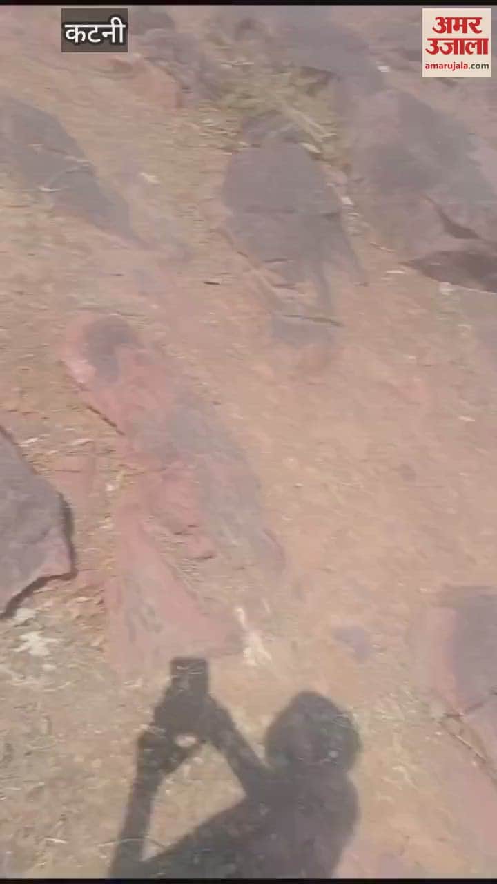 Katni News: Young man commits suicide after selection in army