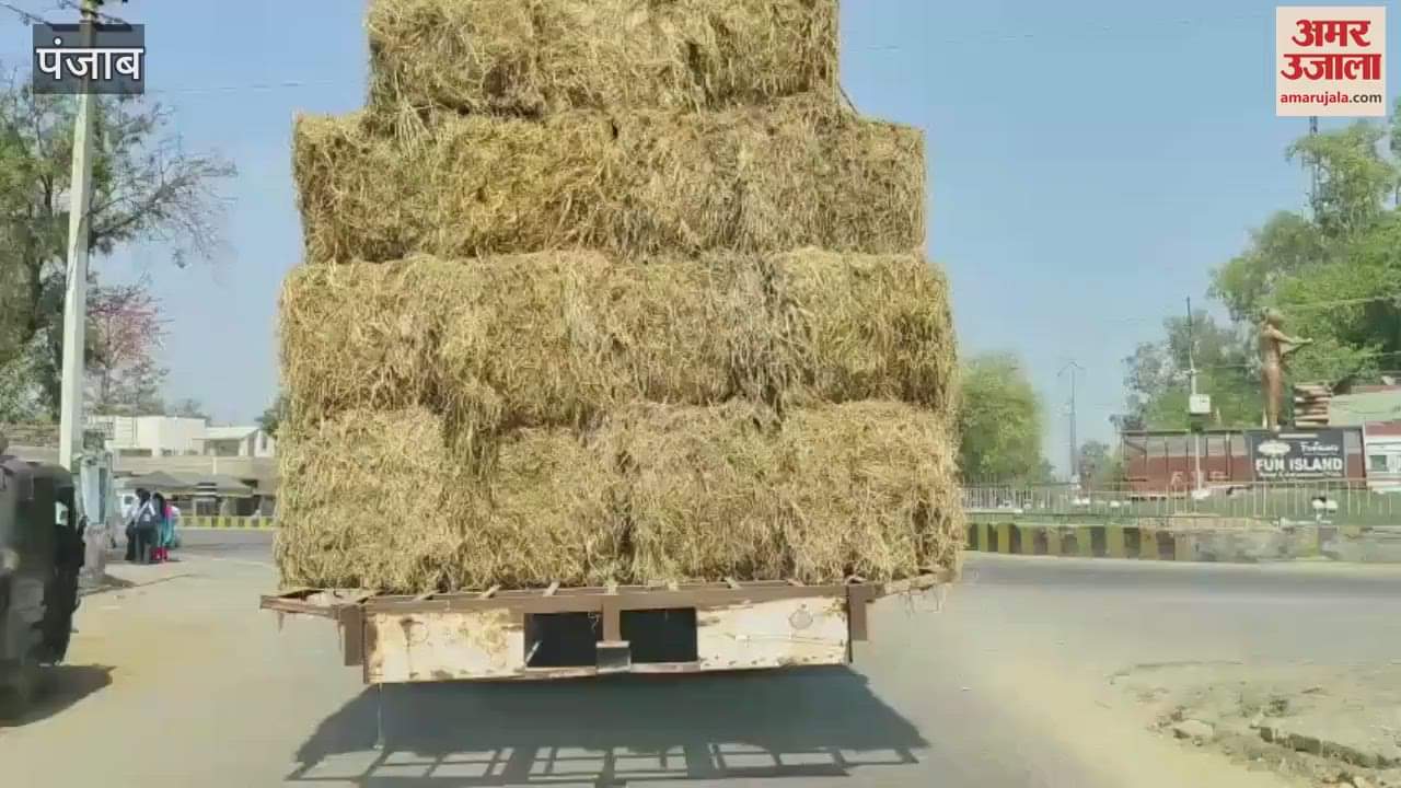 VIDEO : Tractors loaded with bundles of straw are running on the roads in Ferozepur